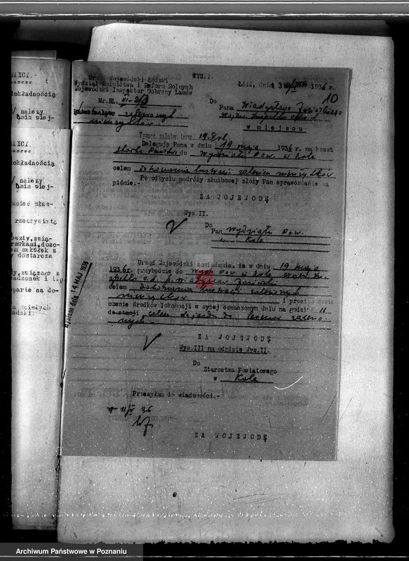 Obraz 15 z jednostki "Zalesienie nieużytków w powiecie kolskim"