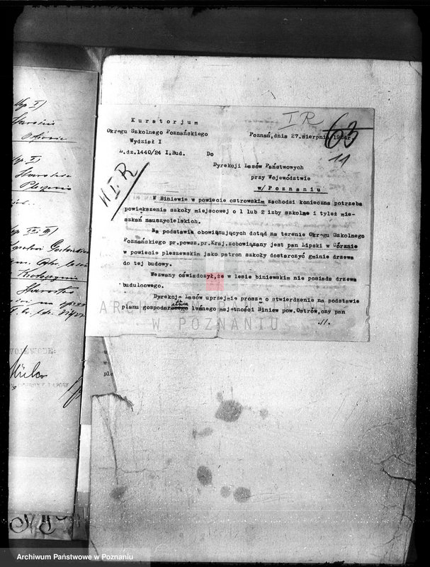 Obraz 15 z jednostki "Nadzór nad gospodarką w lasach majętności Gorzno-Biniew powiat ostrowski"