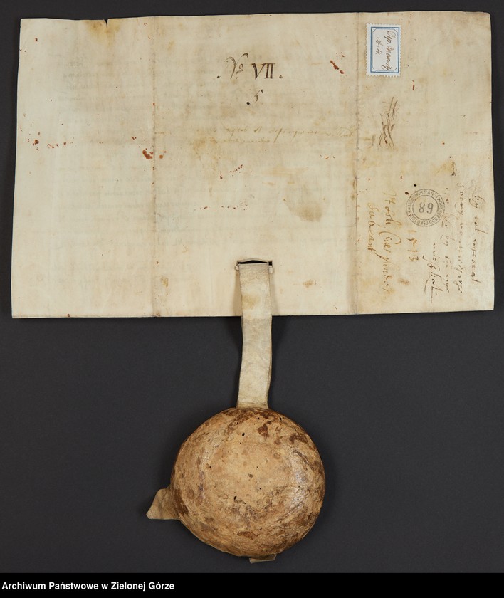 Obraz 5 z jednostki "Zygmunt, król polski, na prośbę międzyrzeczan, poleca poddanym mieszkającym na wsi a uprawiającym grunty miejskie, przenieść się do Międzyrzecza i"