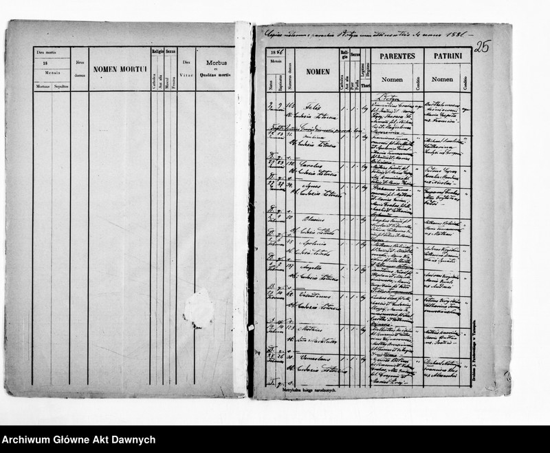 image.from.unit.number "Parafia: Płotycz. Dekanat: Tarnopol. Kopie z ksiąg metrykalnych ur., śl., zg. dla całej parafii (Płotycz i pozostałe wsie)."