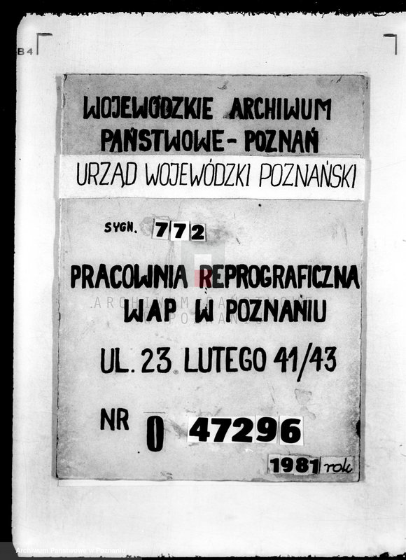 Obraz 1 z jednostki "Jacht Klub Wielkopolski"