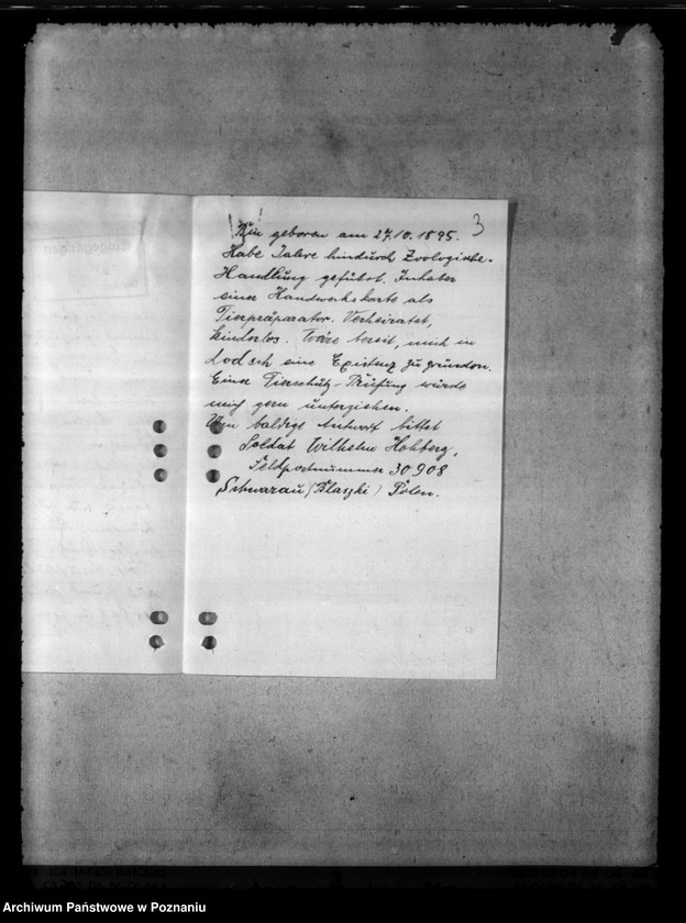 Obraz 7 z jednostki "Tierquälerei an Pferden. Scheuklappen."