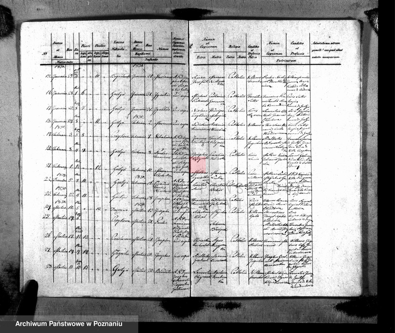 image.from.unit.number "Liber baptisatorum, copulatorum, mortuorum"