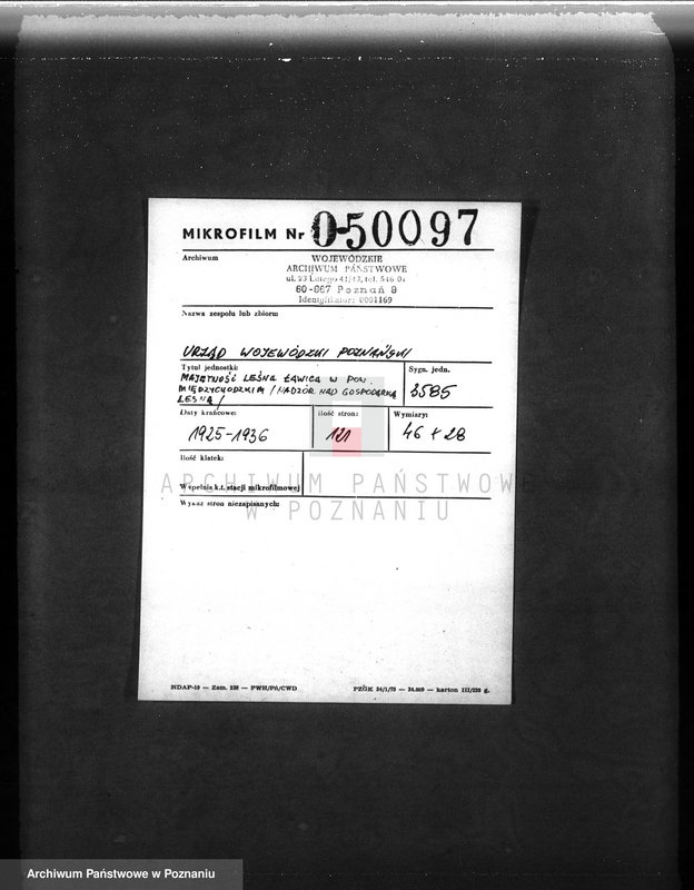 Obraz 2 z jednostki "Majętność leśna Ławica w powiecie międzychodzkim /nadzór nad gospodarką leśną/"