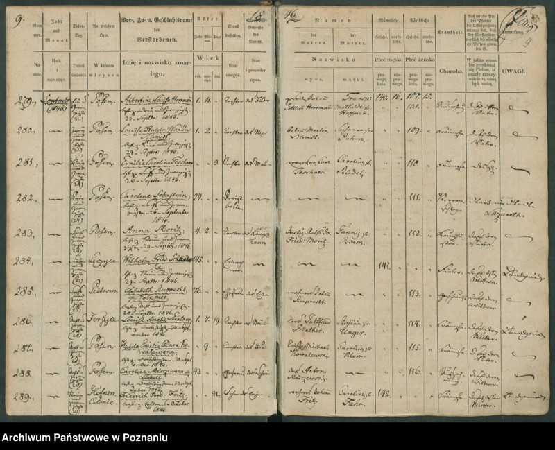 Obraz 10 z jednostki "Sterbenbuch"