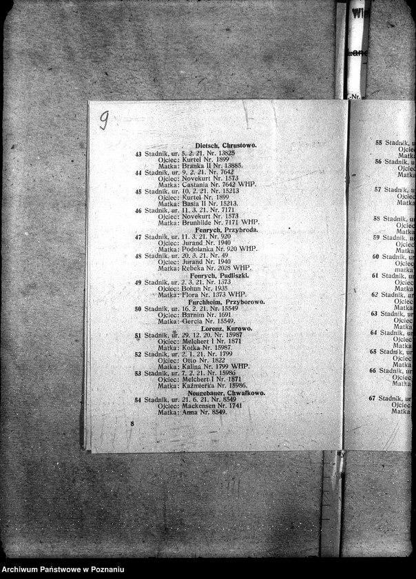 image.from.unit.number "Sprawy szczegółowo-administracyjne Aukcje inwentarza i wystawa"