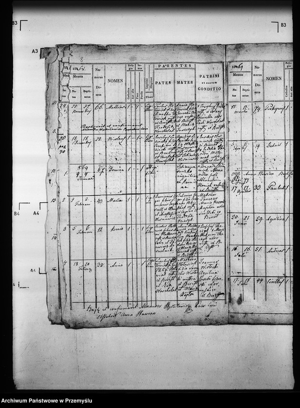 Obraz 12 z jednostki "[Kopie ksiąg metrykalnych parafii Berest z filią Polany (dekanat Grybów)]"