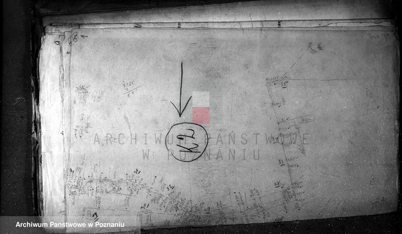 Obraz 5 z jednostki "Mapy majątku Rusiec w powiecie żnińskim"