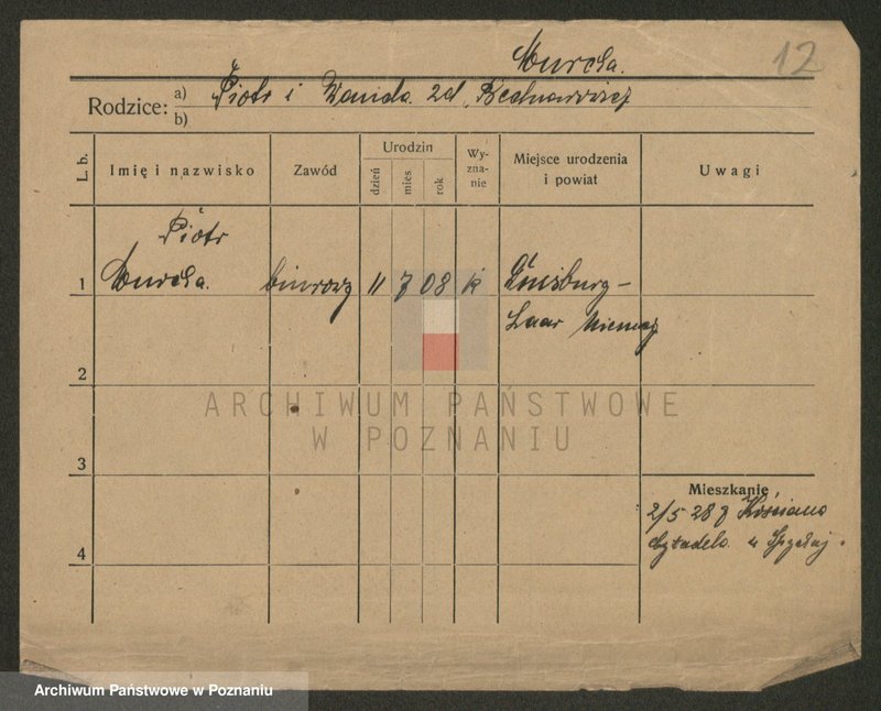 Obraz 12 z jednostki "Murcha - Musiał"