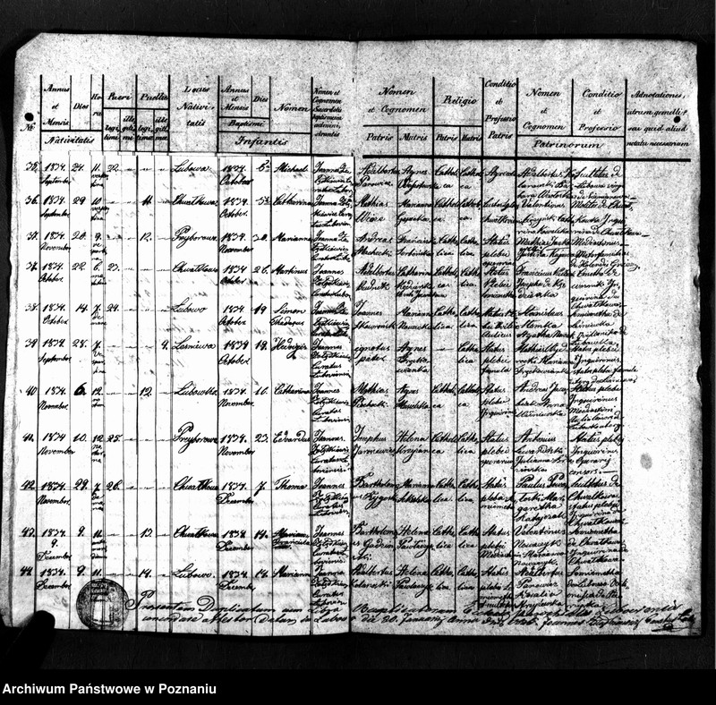 image.from.unit.number "Duplicatus baptisatorum"