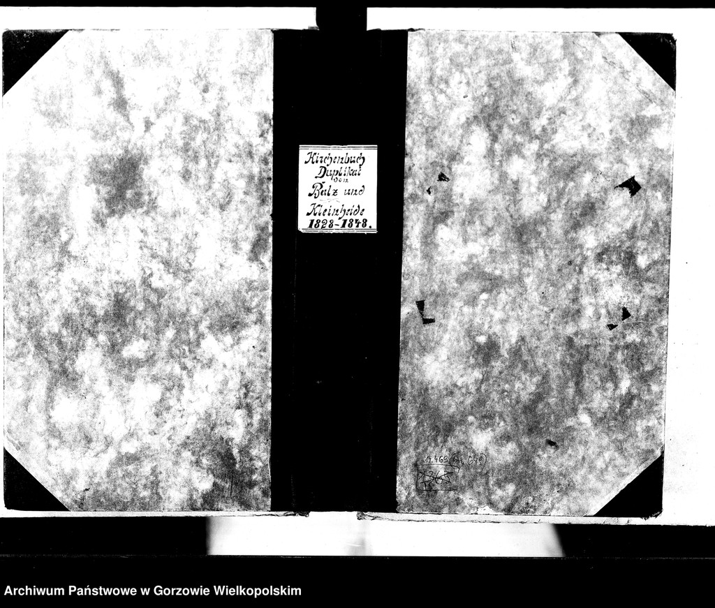 image.from.unit.number "Duplikate der Kirchenbücher von Balz: Balz (Białcz), Kleinheide Pszczelnik)"