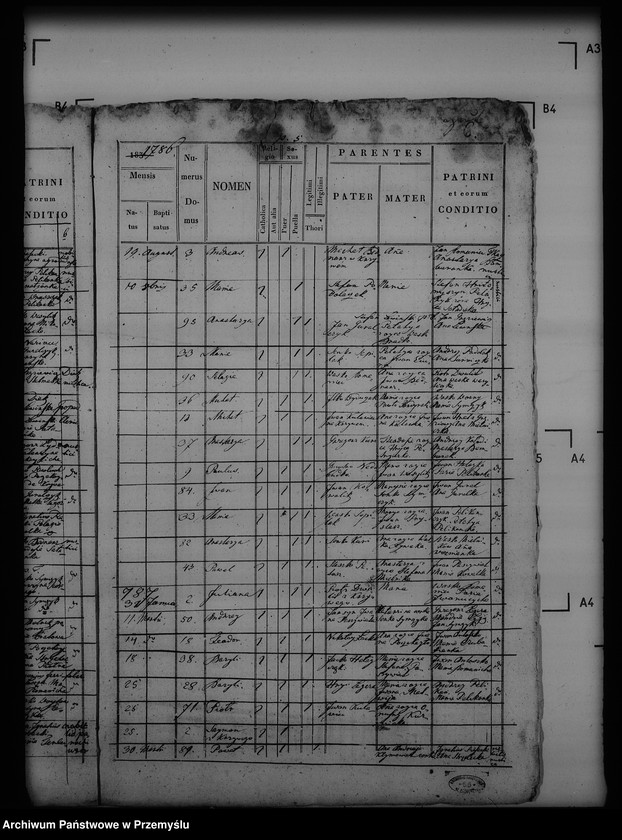 Obraz 10 z jednostki "[Kopie ksiąg metrykalnych parafii Trzcianiec (dekanat Bircza)]"