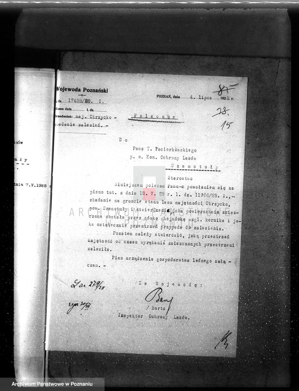 Obraz 19 z jednostki "Ordynacja Obrzycko /nadzór nad gospodarką leśną/"