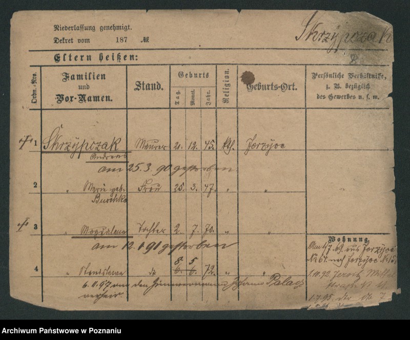 Obraz 18 z jednostki "Skrzypczak (żonaci - samotni mężczyźni)"