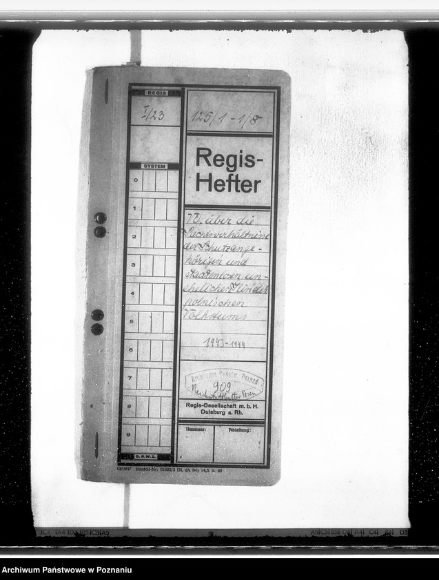 Obraz 4 z jednostki "Verordnung über die Rechtsverhältnisse der Schutzangehörigen und staatenlosen unehelichen Kinder polnischen Volkstums"