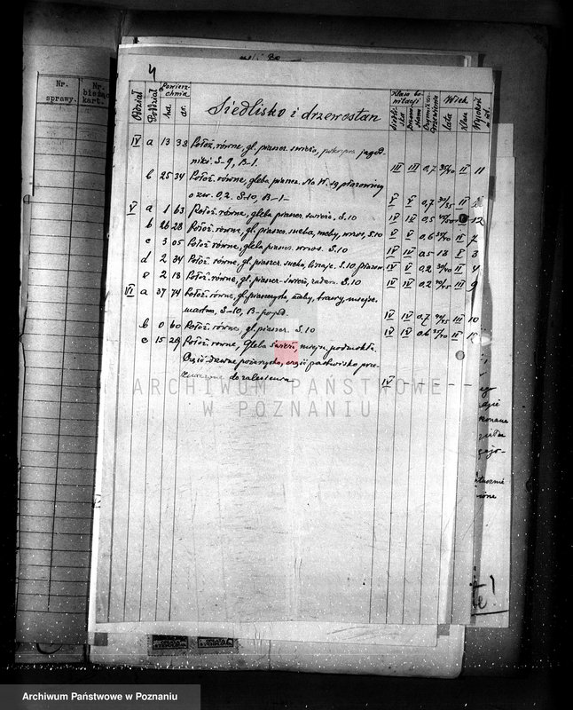 Obraz 8 z jednostki "Nadzór nad gospodarką w lasach majętności Plugawice powiat kępiński"