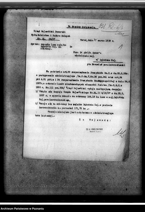 Obraz 5 z jednostki "/Las majątku Dąbrówka-Kujawska/"