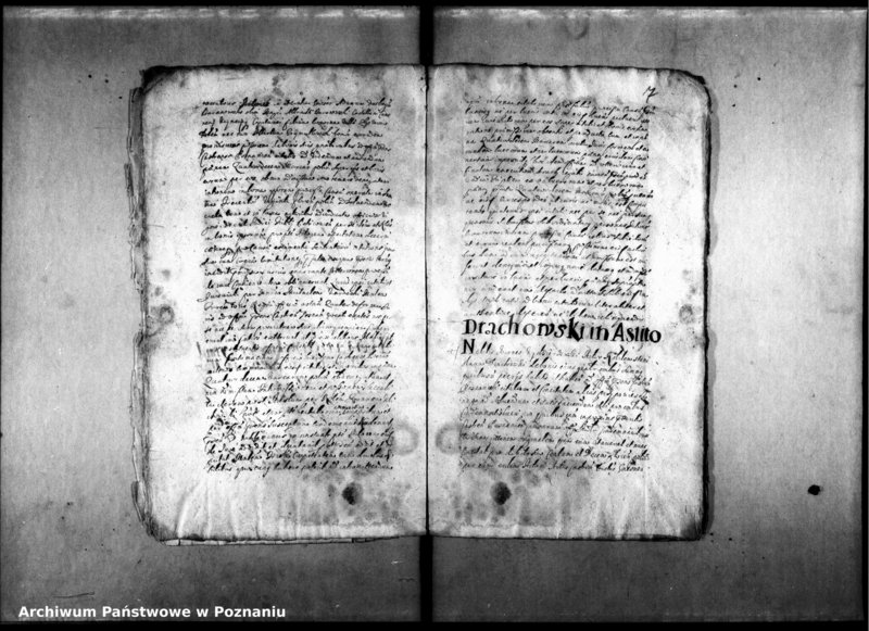 Obraz 13 z jednostki "Decreta officii [inducta]"