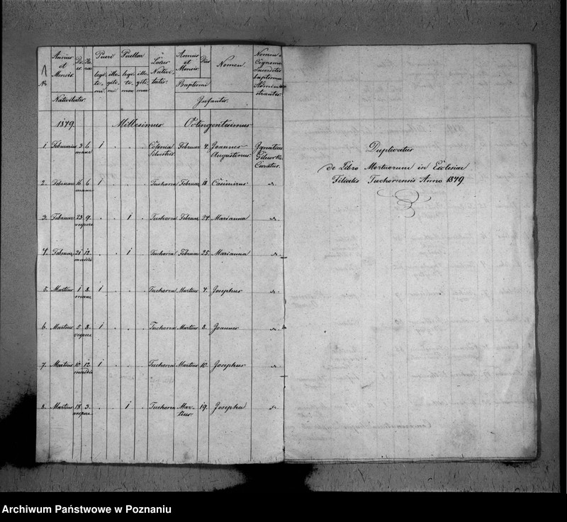 image.from.unit.number "Duplikat baptisatorum, copulatorum, mortuorum"
