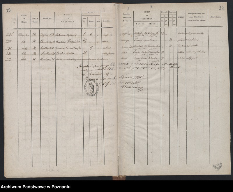 Obraz 14 z jednostki "Księga zgonów"