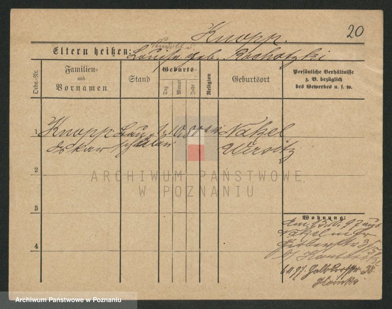 Obraz 20 z jednostki "Knop - Knytel"