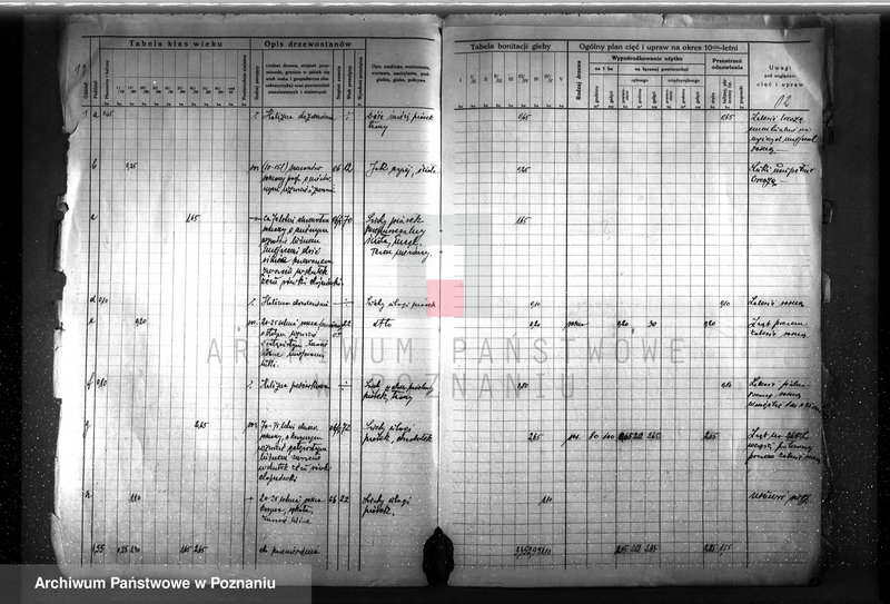 image.from.unit.number "Plan urządzenia gospodarstwa leśnego dla lasu Anny Far w Piotrowie powiat szamotulski 1930-1940"