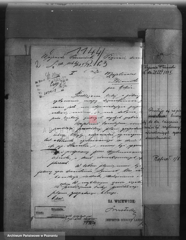 Obraz 6 z jednostki "Nadzór nad gospodarką w lasach majętności Śliwniki powiat ostrowski"