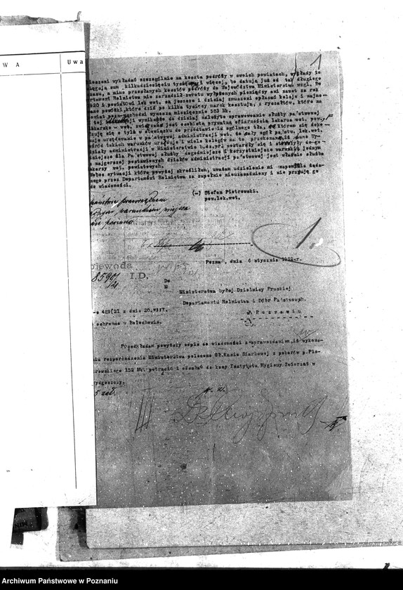 Obraz 5 z jednostki "Pow. lekarz Weterynaryjny Poznań-Wschód"