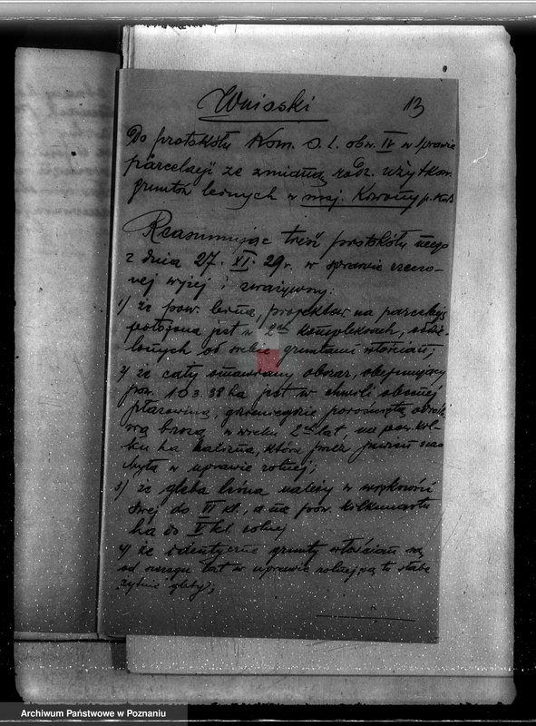 Obraz 17 z jednostki "Majątek Krwony powiat kolski /nadzór nad gospodarką leśną/"