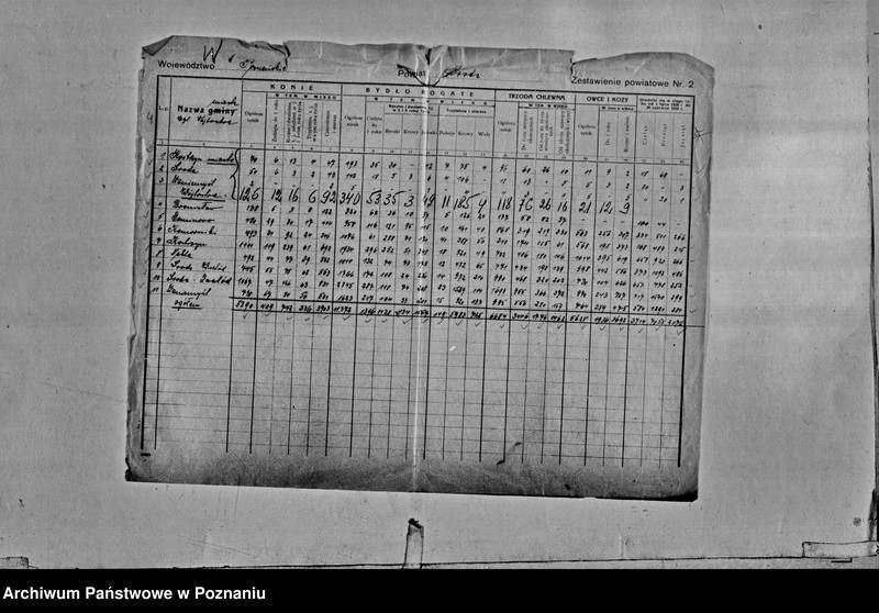 Obraz 6 z jednostki "/Statystyka produkcji rolnej - zestawienie liczby zwierząt gospodarczych z terenu powiatu średzkiego/"