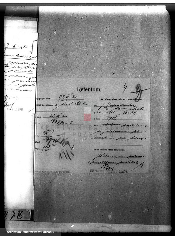 Obraz 8 z jednostki "Las gromady Belęcin-Nowy powiat leszczyński"