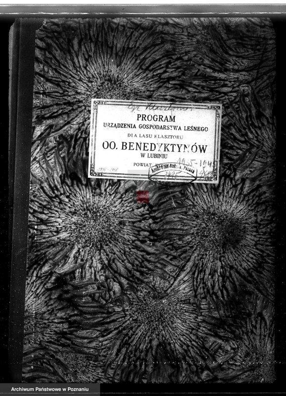 Obraz 4 z jednostki "Program urządzania gospodarstwa leśnego dla lasu klasztoru O.O Benedyktynów w Lubiniu powiat kościański"