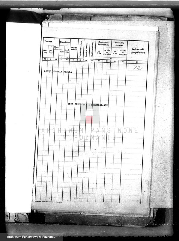 Obraz 16 z jednostki "Nadzór nad gospodarką w lasach majątku Lubinia-Wielka w powiecie jarocińskim"