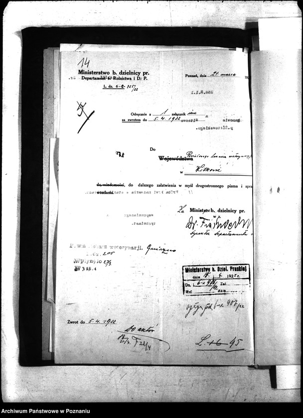 Obraz 17 z jednostki "Nosacizna - Witkowo"