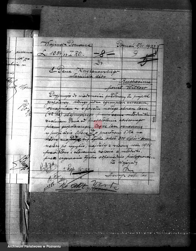 Obraz 13 z jednostki "Nadzór nad gospodarką w lasach majętności Ruchocin powiecie gnieźnieńskim"