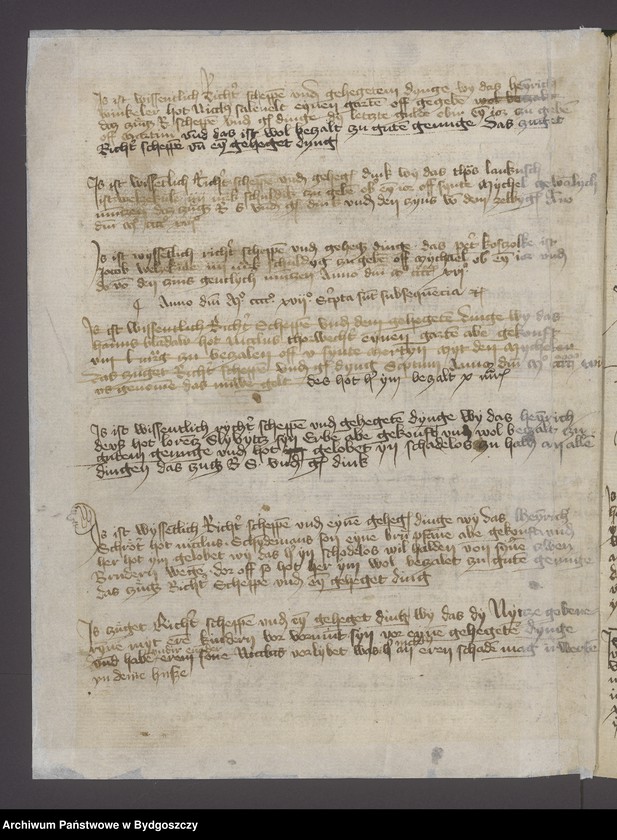 image.from.unit.number "[Księga ławnicza miasta Nowego]"