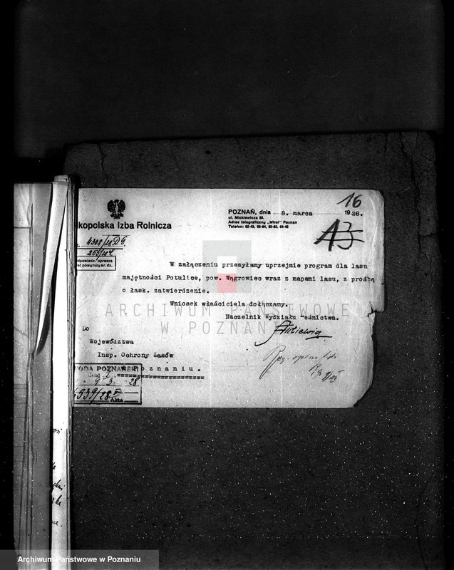 Obraz 20 z jednostki "Majętność leśna Potulice powiat wągrowiecki"