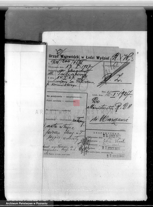 Obraz 6 z jednostki "Las miasta Tuliszkowo powiat koniński"