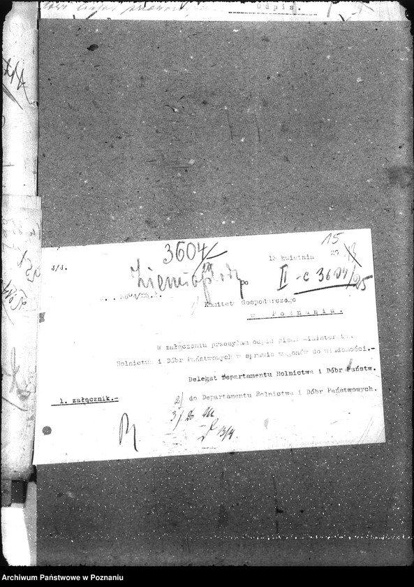 Obraz 20 z jednostki "Ziemiopłody"