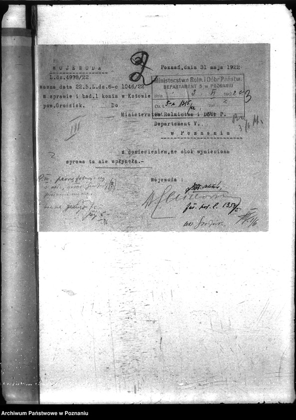 Obraz 7 z jednostki "Nosacizna - Grodzisk"