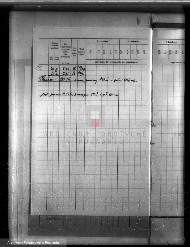 Obraz 19 z jednostki "Plan urządzenia gospodarstwa leśnego dla lasu ordynacji Kobylniki powiat szamotulski 1930-1940"