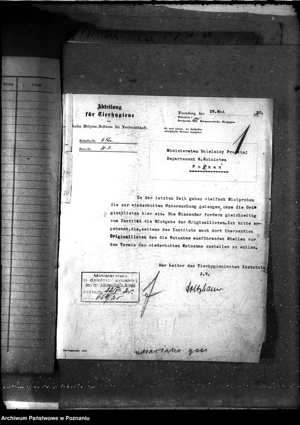 Obraz 4 z jednostki "Sprawy ogólne Nosacizna"