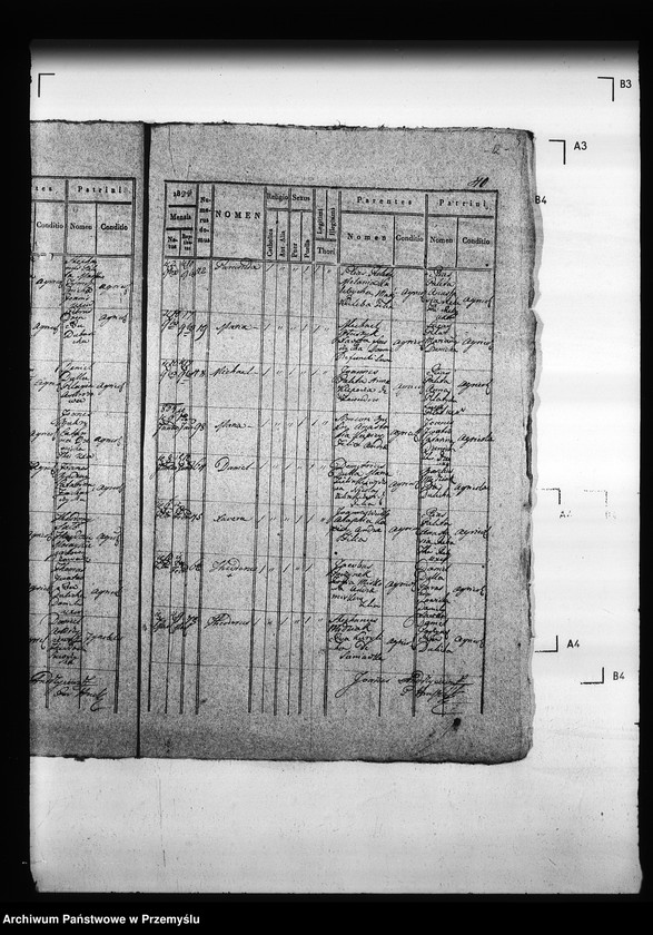 Obraz 16 z jednostki "[Kopie ksiąg metrykalnych parafii Hruszów z filiami Budomierz, Kłonice, Szczepłoty (dekanat Niemirów)]"