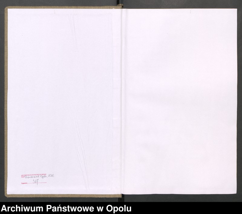 image.from.unit.number "Urząd stanu Cywilnego Opole Księga Urodzeń Rok 1916 396-793 t.2"