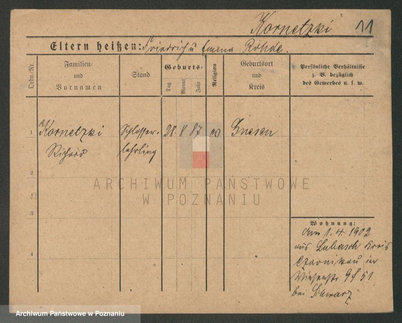 Obraz 11 z jednostki "Kornecki - Kortus"