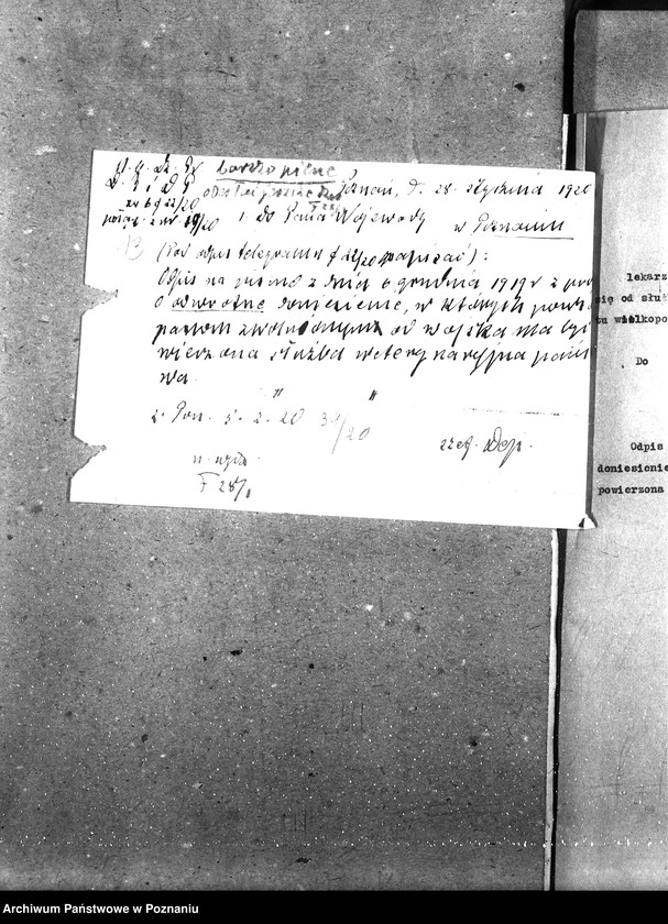 Obraz 17 z jednostki "Weterynarze Powiatowi [specjalne]"