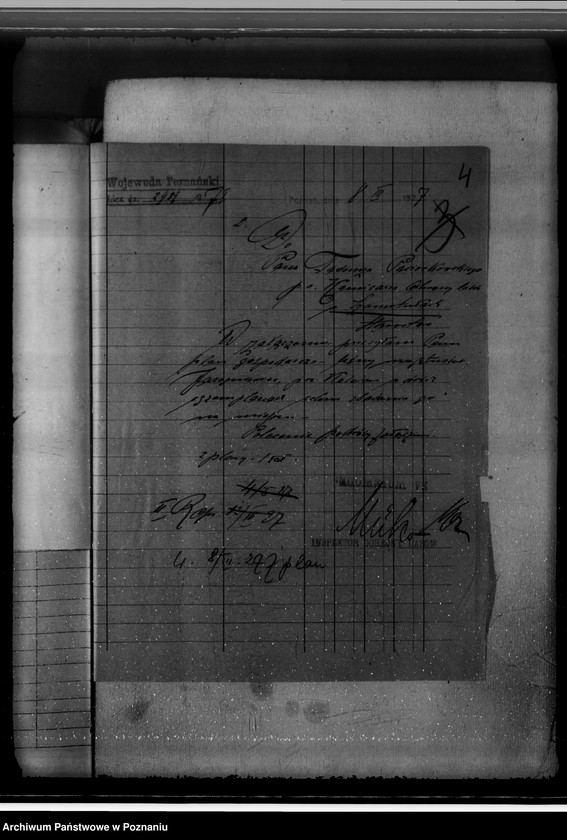 Obraz 8 z jednostki "Gospodarka w lasach majątku Jarogniewice powiat kościański"