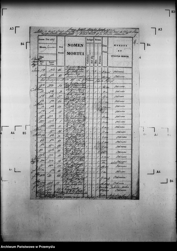 image.from.unit.number "[Kopie ksiąg metrykalnych parafii Jaworki z filiami Biała Woda, Czarna Woda (dekanat Muszyna)]"