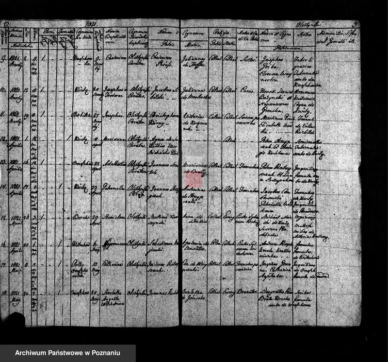Obraz 5 z jednostki "Duplikat copulatorum, baptisatorum et sepultorum"