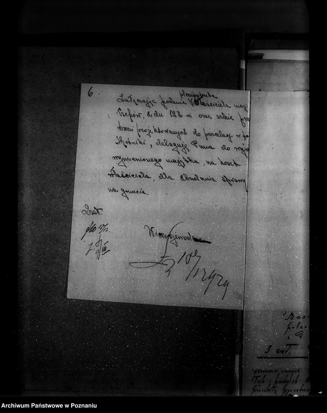 Obraz 10 z jednostki "Sprawa zatwierdzenia projektu planu gospodarstwa leśnego dla lasu majątku Czepów-Dolny powiat turecki"